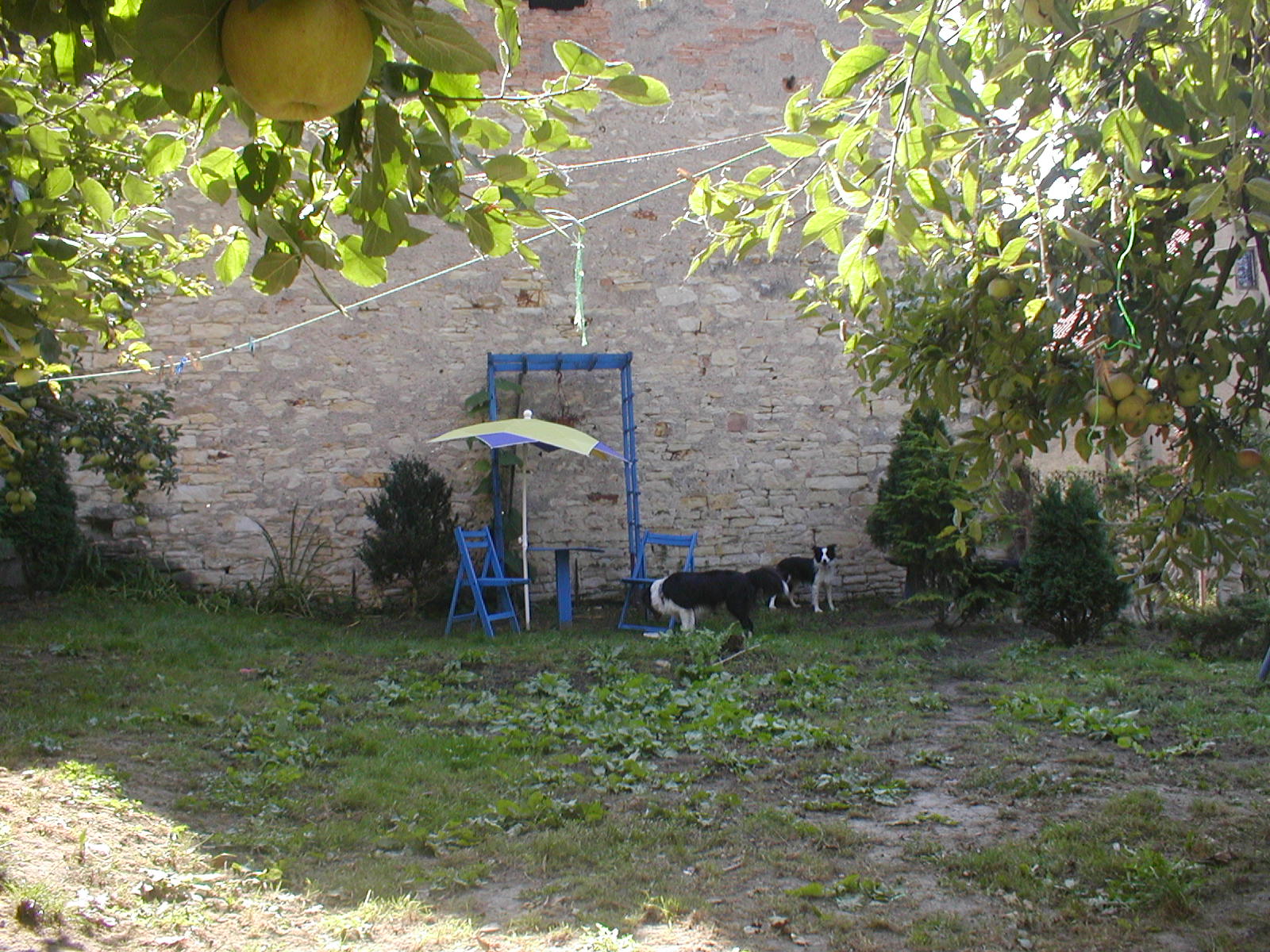 P1010280.JPG
